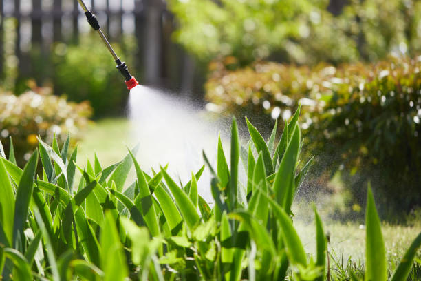 24/7 Emergency Ant Control experts in Winthrop Harbor, IL