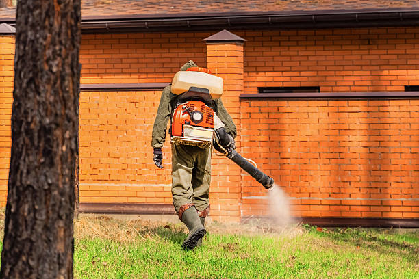 Top rated local Ant Control specialists in Winthrop Harbor, IL